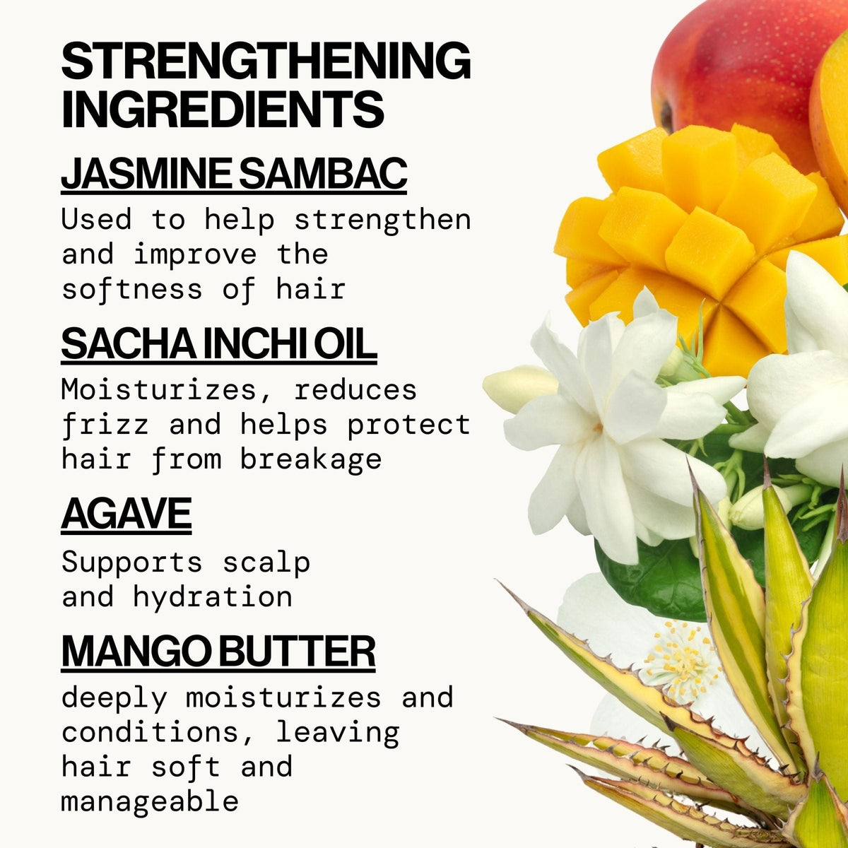 Jasmine Agave Strength + Shine Conditioner